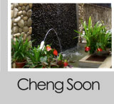 Cheng Soon