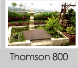 Thomson 800
