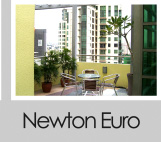 Newton Euro Condominium